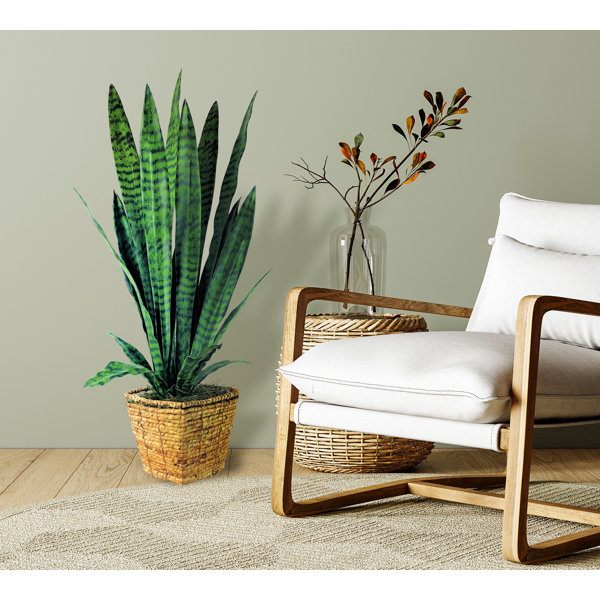 Primrue 38'' Faux Snake Plant in Rattan Basket Wayfair